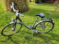 Diamant Damenfahrrad 28 Zoll Sachsen - Weischlitz Vorschau