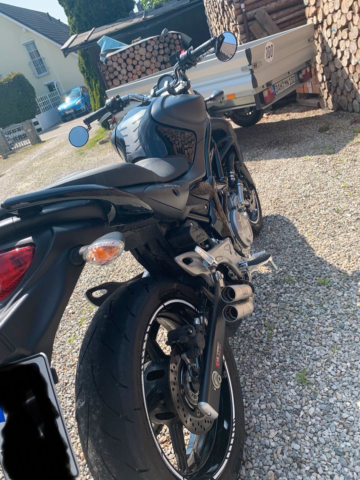 Suzuki Gladius 650 in Egenhofen