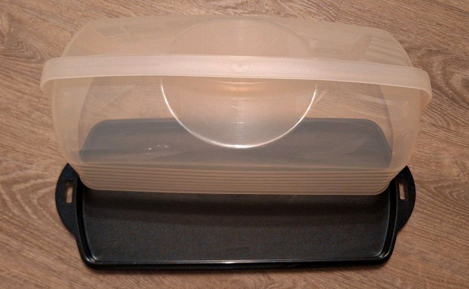 Kuchenplatte für längliche Kuchen 45 cm lang von Tupperware in Achtrup