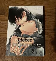 Lieber Liebeskummer Manga Comic guter Zustand Niedersachsen - Stade Vorschau