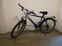 Mountainbike Mc. Kenzie - (26 Zoll) Bayern - Mainaschaff Vorschau