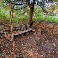 Suche Waldgrundstück für Bushcrafting Nordrhein-Westfalen - Rommerskirchen Vorschau