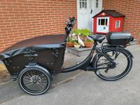Elektro Aluminium Lastenrad Vogue Superior 3  Bakfiets  Lastenbik Nordrhein-Westfalen - Oerlinghausen Vorschau