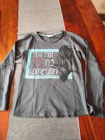 Pullover , Langarmshirt Sachsen - Bad Elster Vorschau