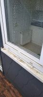 ⛔️ Angebot ⛔️  Fensterputzer Glasreinigung Fensterreinigung Essen - Steele Vorschau