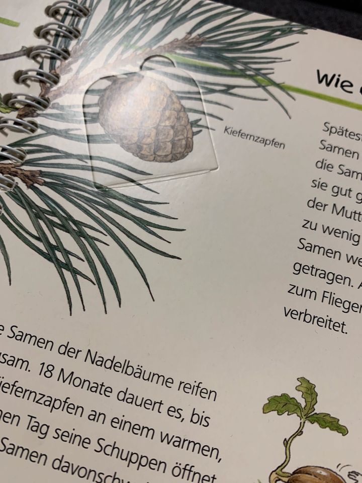 Wieso? Weshalb? Warum? - Wir entdecken den Wald in Marl