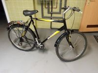 Trekking-Bike 26 Zoll Nordrhein-Westfalen - Solingen Vorschau