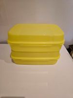 Set 2x Tupperware 2,5 Liter Großes Naschkätzchen Leipzig - Leipzig, Zentrum-Nord Vorschau