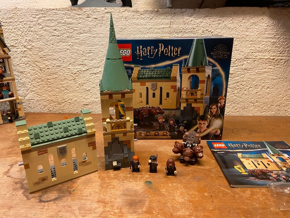 Lego Harry Potter in Neuwied