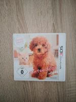 Nintendo 3DS Spiel Nintendögs + Cats Sachsen - Radebeul Vorschau
