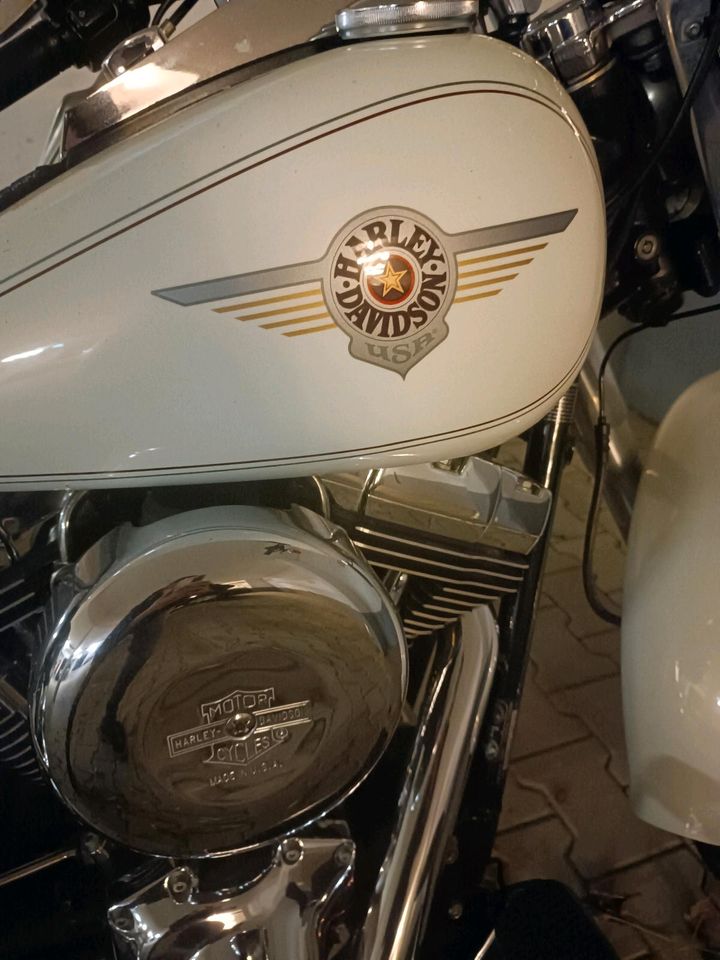 Harley Davidson Fat Boy 2000 USA - Top Zustand in Essen