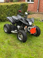 Quad Her Chee ATV 250ccm mit TÜV Nordrhein-Westfalen - Langerwehe Vorschau