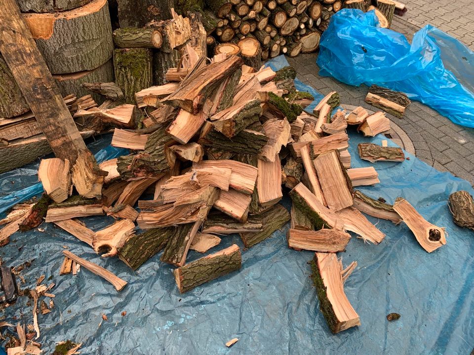 Eichenholz Buchenholz Brennholz Kaminholz Kamin Buche Eiche Holz in Enger