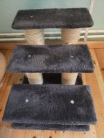Katzen Kratzsäule und Katzentreppe mit Kratzsäulen Pankow - Weissensee Vorschau