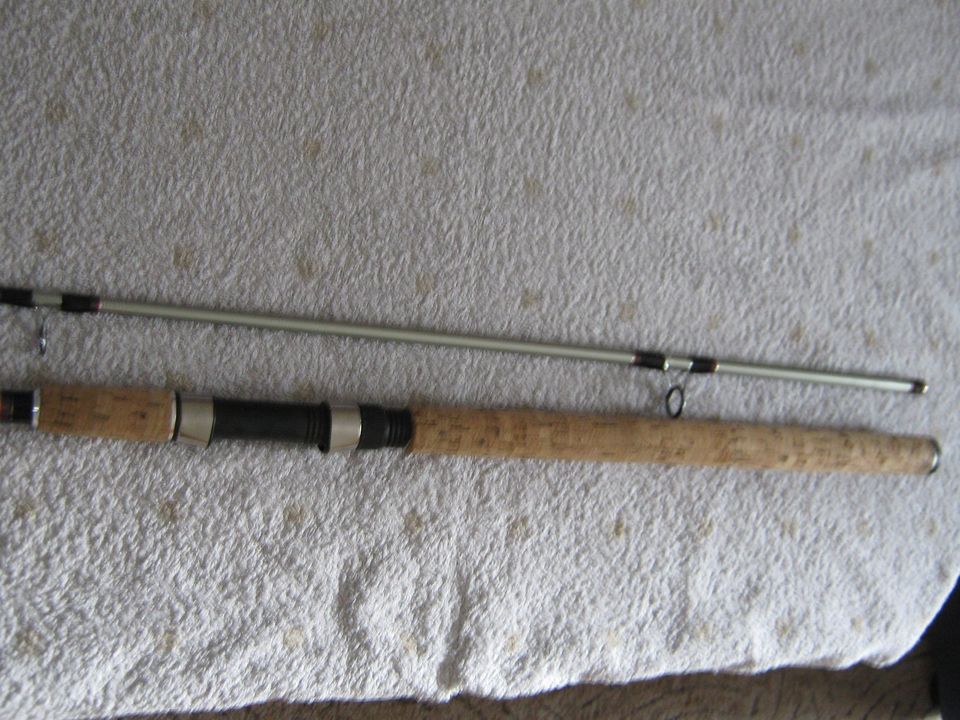 Daiwa Seahunter, 2.70m, 100-200wg,mit Korkgriff in Bielefeld