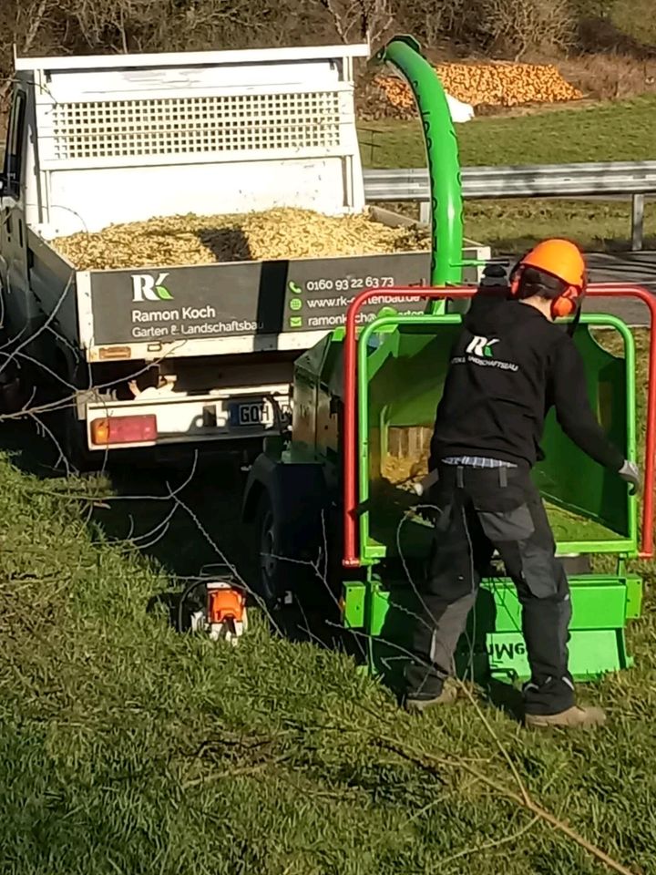 Häcksler, Hacker,  Holzhäcksler, Holzhacker  günstig Mieten in Strüth