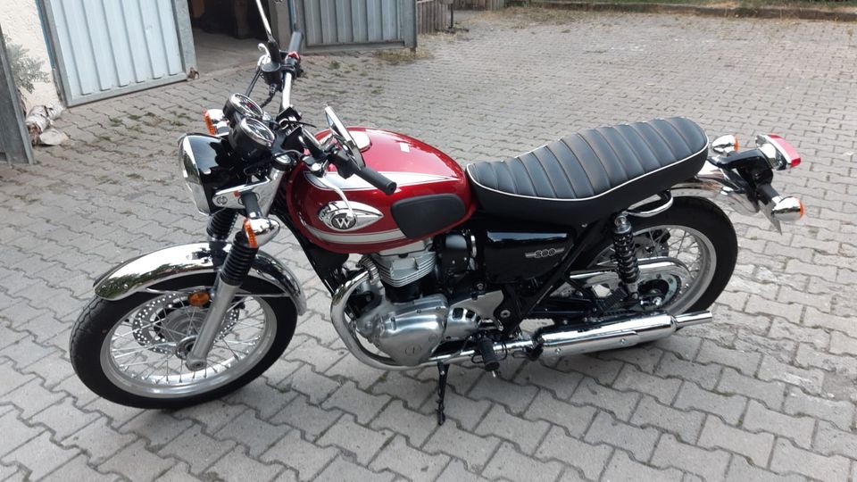 Kawasaki W800    -neu-    A2 tauglich in Bad Colberg-Heldburg