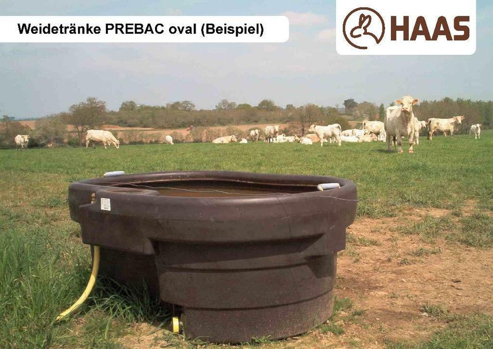 HAAS Weidetränke Prebac oval 550 Liter in Nümbrecht