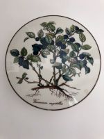 Villeroy & Boch Botanica Heidelbeere Blaubeere Dose 15 cm Durchm. Baden-Württemberg - Bruchsal Vorschau