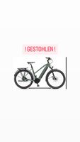 ! GESTOHLEN ! Winora Damen Rad E-Bike MINTGRÜN Schleswig-Holstein - Kiel Vorschau