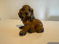 Rosenthal Classic Rose Porzellan Figur Dackel Hund Welpe Hessen - Taunusstein Vorschau