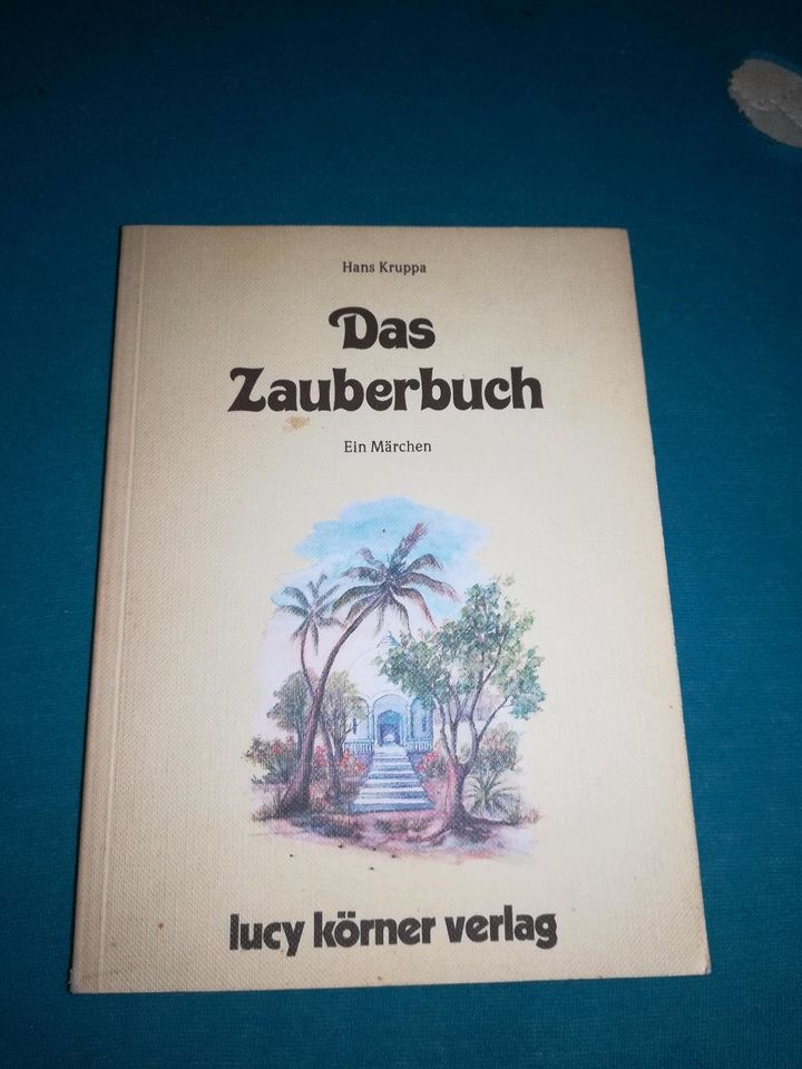 Buch, Hans Kruppa, Das Zauberbuch in Salzgitter