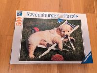 Ravensburger Puzzle ❤️ 500 Teile ❤️ Hund Niedersachsen - Bomlitz Vorschau