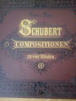 Alte Notenbücher Schubert,  etc.günstig zu verkaufen! Saarland - Neunkirchen Vorschau