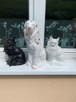 2 wunderschöne gr. Porzellan Katzen und 1 Hund Mecklenburg-Vorpommern - Seebad Bansin Vorschau
