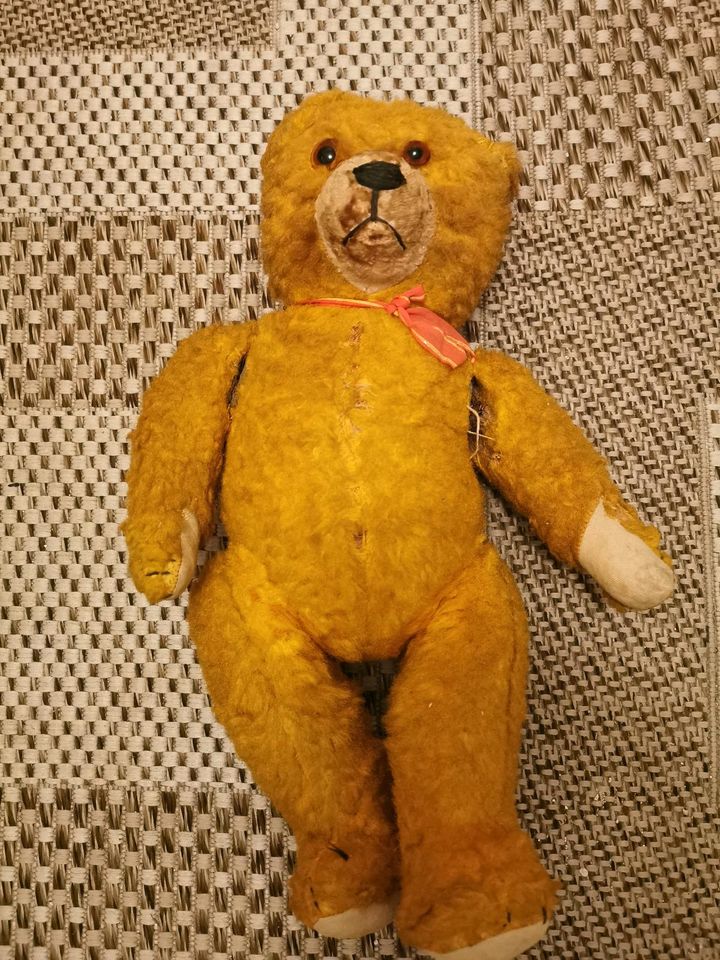 Alter Teddybär mit Stimme * Antik in Gößnitz
