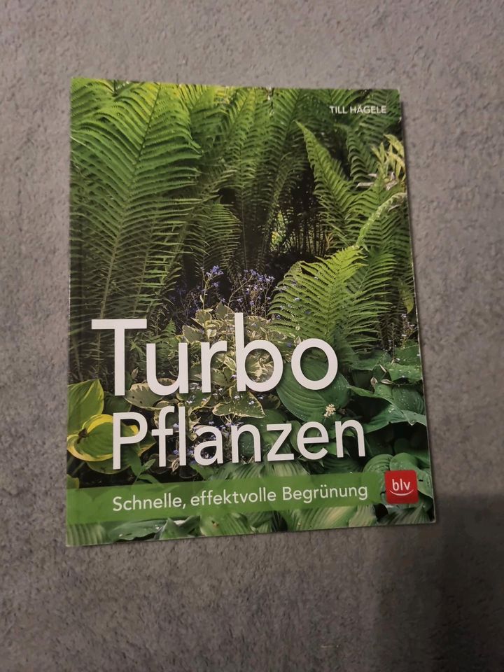 Turbo-Pflanzen | Till Hägele | Schnelle, effektvolle Begrünung | in Wülfrath