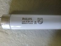 Philips Leuchtstoffröhre18W 60cm Rohr-D.26mm Röhre Bayern - Stammham b. Ingolstadt Vorschau