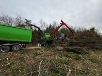 Holz häckseln, Hackschnitzel, Lohnhacken Baden-Württemberg - Rottenburg am Neckar Vorschau