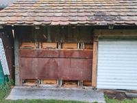 Mehrere gesunde Bienenvölker, Zandermaß Bayern - Gundremmingen Vorschau