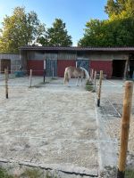 Offenstallplatz für (Rehe-)Pony Niedersachsen - Staufenberg Vorschau