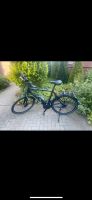 Herren Fahrrad Ebike Gudereit Nordrhein-Westfalen - Vreden Vorschau