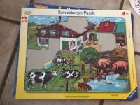Ravensburger Puzzle Tierfamilien Bayern - Ebern Vorschau
