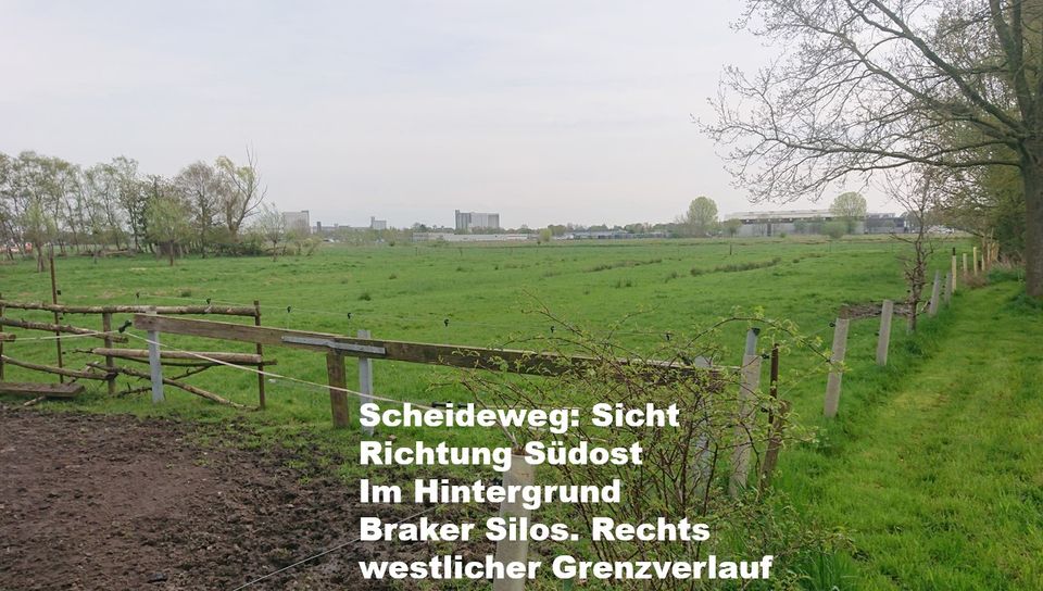 2 Grünflächen, Grünland in Brake Golzwarden gesamt 11013 m² in Elsfleth