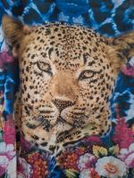 Damen Oberteil Top Tunika 36 S Tiger Strass Brandenburg - Oranienburg Vorschau