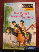 DUDEN-Zwei Ponys halten alle auf Trab. Duisburg - Duisburg-Süd Vorschau
