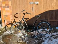 Zündapp ☆ Damenrad ☆ neu ☆ 26 Zoll Schwerin - Weststadt Vorschau