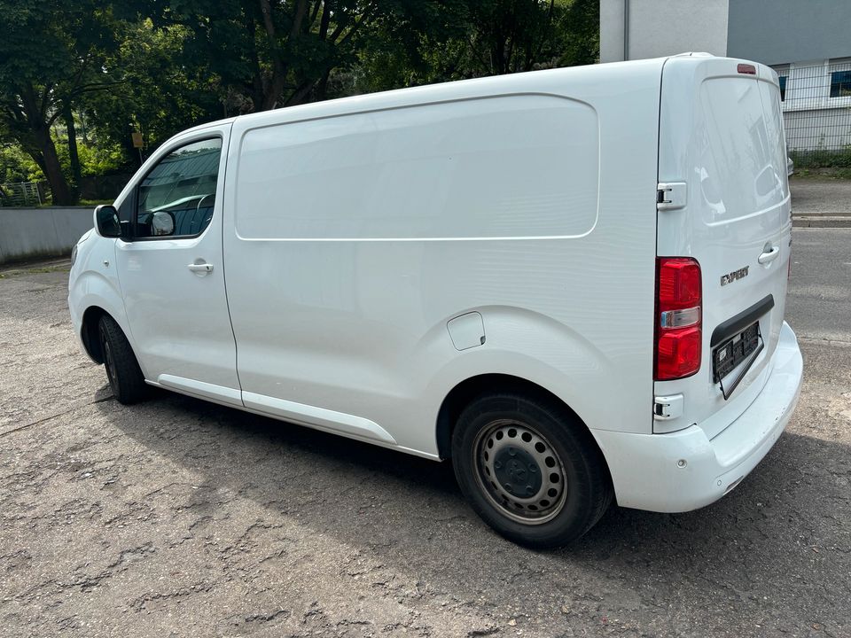 Peugeot, Expert, Kastenwagen, Rückfahrkamera in Dortmund