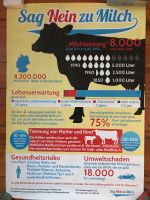 Info-Poster Milch, 59 x 84 Brandenburg - Fürstenwalde (Spree) Vorschau