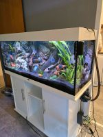 Juwel 3D Aquarium  240liter. 550 VB Berlin - Spandau Vorschau