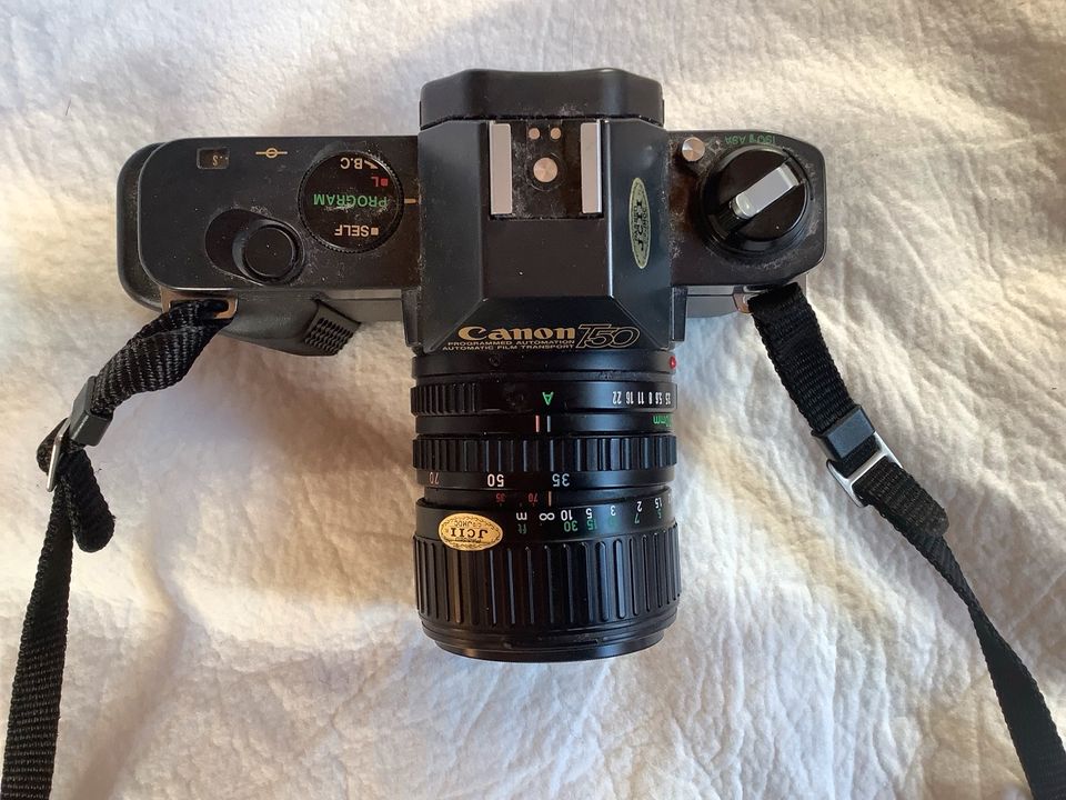Spiegelreflexkamera Canon T 50 in Grünwald