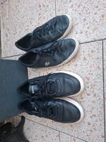 Herren Schuhe gr.45/46 Lacoste, Bench Nordrhein-Westfalen - Wesseling Vorschau
