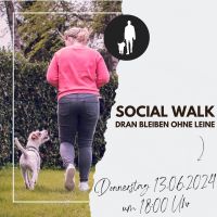 Hundeschule: Social Walk Schleswig-Holstein - Bad Oldesloe Vorschau