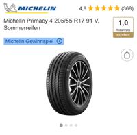 Sommerreifen 205 55 R17 Michelin Kiel - Schilksee Vorschau