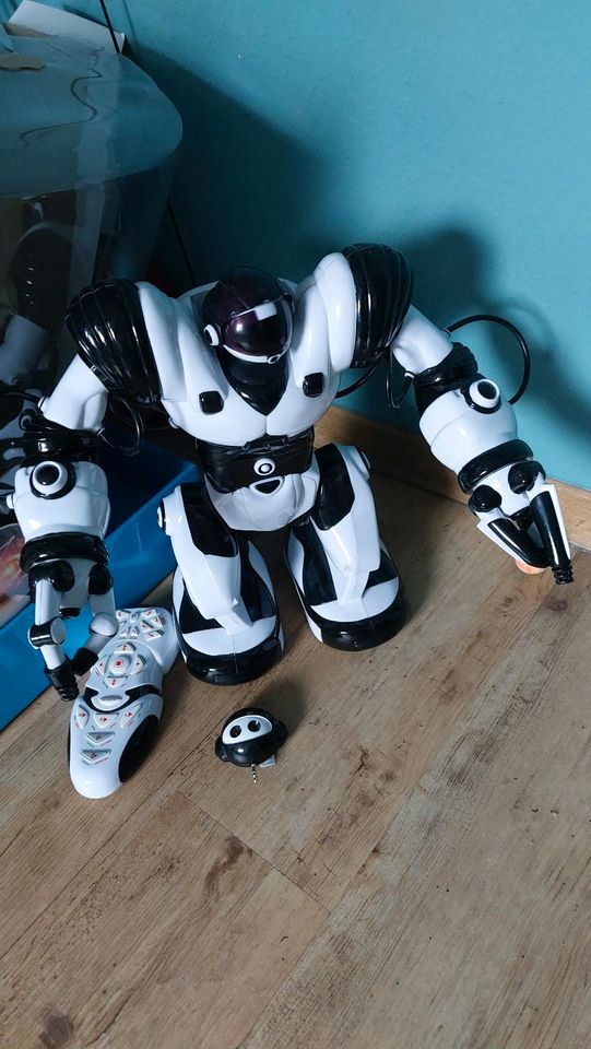 Robosapienx Kinder Roboter in Groß-Rohrheim