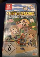 Nintendo Switch Spiel Story of Seasons“ Bayern - Oberschneiding Vorschau